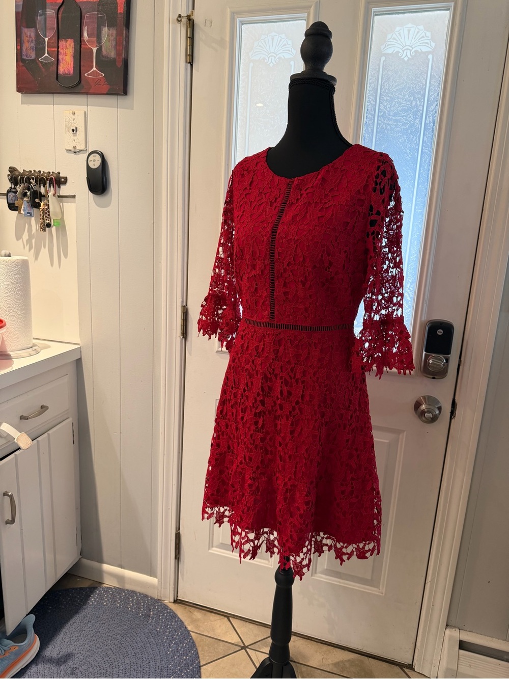 BB Dakota Crimson Red Lace Mini Dress with Three-Quarter Sleeves